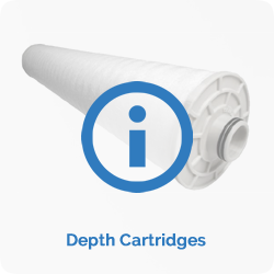 depthcartridges.fw